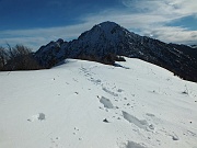 25 ...molto morbida !
